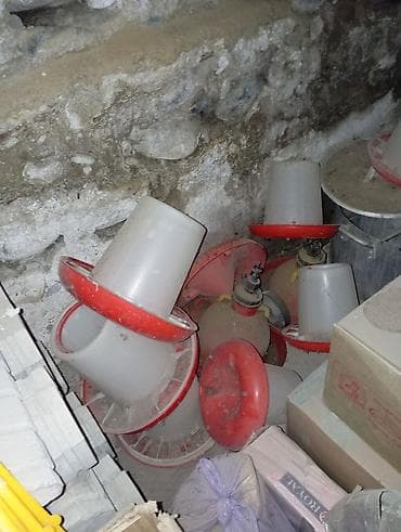 Кормушки и поилки для птицы (кур, бройлеров, индюшек) Состав: -