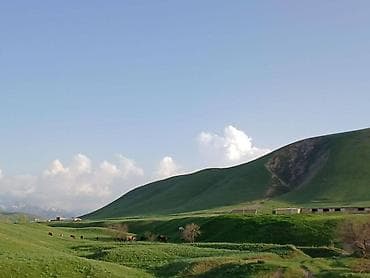вспашка земли: Farm КРС, 50 соток, Действующий, Без оборудования, Электричество, Холодная вода — 7