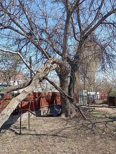 скупаю дрова: Дрова — 2