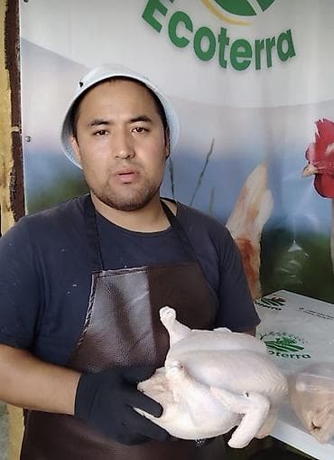 породы кур: Курица и индейка Ecoterra — тушка и субпродукты - Курица: тушки — 3