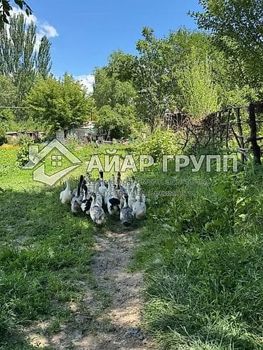 пш метр: ‼️ ПРОДАЮТСЯ 3 КВАРТИРЫ С БОЛЬШИМ ПРИУСАДЕБНЫМ УЧАСТКОМ ‼️ 📍 Совхоз — 9
