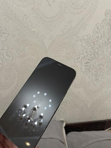 apple 8 plus: IPhone 12 Pro Max, 128 ГБ, Pacific Blue — 4