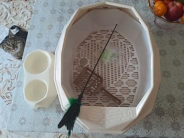 продам вольер для собаки бу: Зоотовары. животные. Переноска номер 3 размер 66.47.46 контейнер для — 10