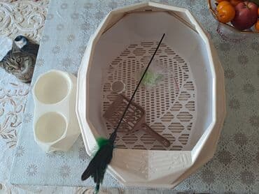 лысый кот: Зоотовары лоток с решёткой. плюс лопатка. кормушка. таблетка для — 1