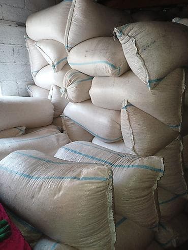 Фрукты: Кукуруза Оптом — 4