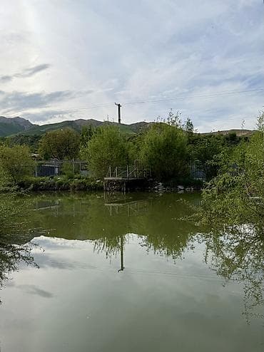 олд бишкек: Продаётся дача рядом с селом Горная Маевка(дачи Норус) площадь участка — 8