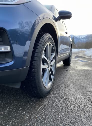 шины на мтз: Шины 225 / 60 / R 16, Новый, Комплект, Bridgestone — 1