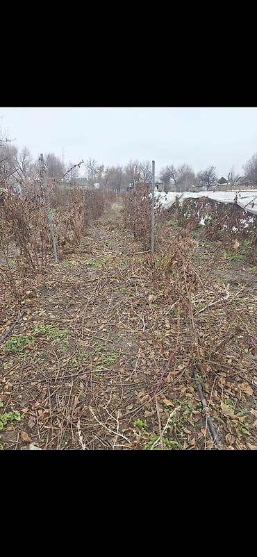 Тез арада Жер Тилкеси сатылат докуменнти так суйлошуу жолдору бар