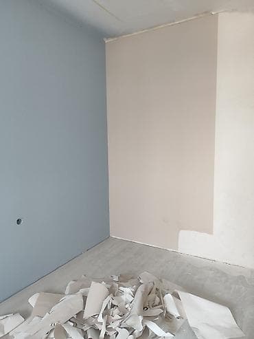 сир панель: Покраска стен, На масляной основе, На водной основе, Больше 6 лет опыта — 1