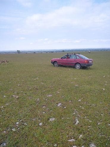 авто последующием выкупом: Audi 80: 1986 г., 1.8 л, Бензин, Седан — 3