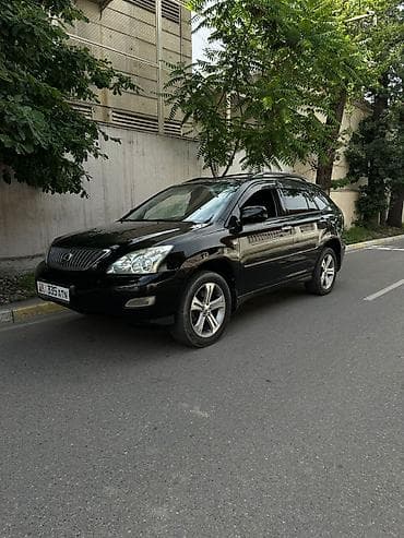 подножка лексус: Lexus RX: 2007 г., 3.5 л, Автомат, Кроссовер — 4