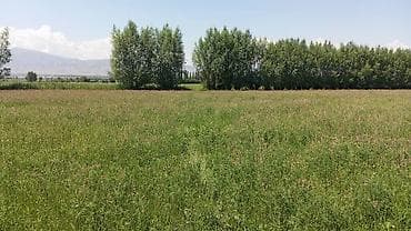 Жер тилкелери: 10 соток, Курулуш, Кызыл китеп — 1
