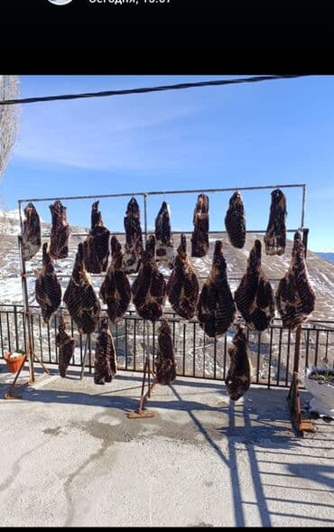 рыба каракол: Говядина : Филе, До 1 кг, Антрекот, Самовывоз — 1