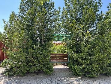 Недвижимость: 🏡 ГОТОВЫЙ ГОСТЕВОЙ ДОМ НА ИССЫК-КУЛЕ — ГОТОВЫЙ БИЗНЕС ДЛЯ ПОЛУЧЕНИЯ — 6