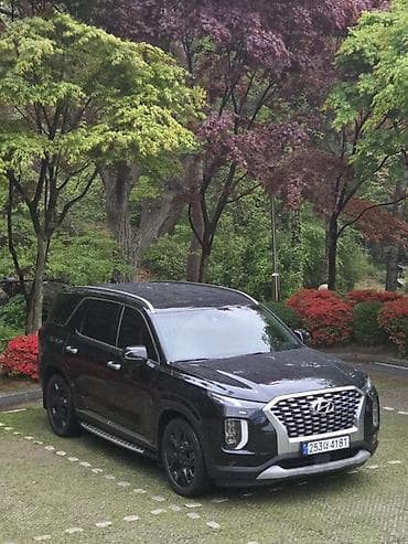 Hyundai Palisade: 2019 г., 2.2 л, Автомат, Бензин, Внедорожник