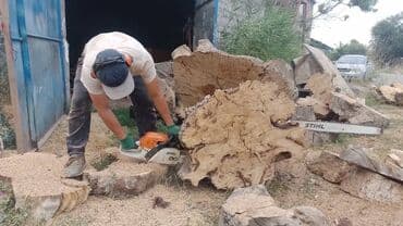 оборудование для выпечки: Спили аварийных деревьев заготовка дров. бак кыйабыз караколдо 5 — 7