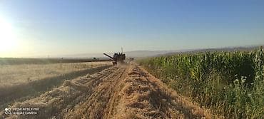 куплю землю сельхозназначения: 5000 соток, Для сельского хозяйства, Договор купли-продажи — 6