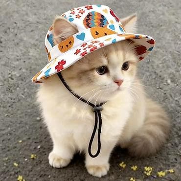 hello kitty: Срочно.Набор для котёнка: переноска + шампунь + шлейка-платье с — 4