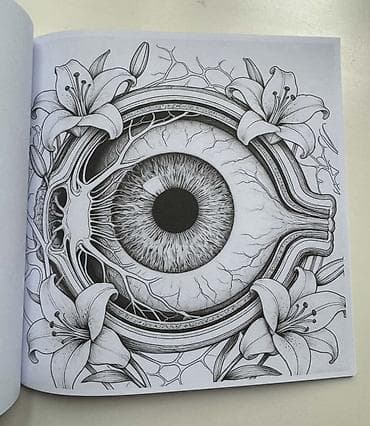 Книги и журналы: Анатомическая раскраска Human Anatomy Coloring Book для взрослых😻🫀 — 2