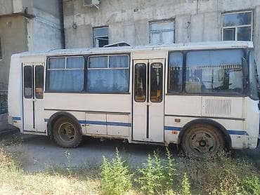 transporter multivan: Автобус, ПАЗ, 2006 г., 4.2 л, до 15 мест — 2
