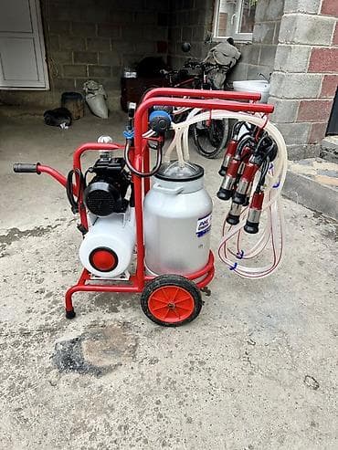 стрижка животных на дому: Продаю турецкий доильный аппарат в идеальном состоянии пользовались — 3