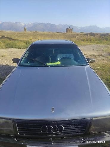 Audi 100: 1989 г., 1.8 л, Механика, Бензин, Универсал