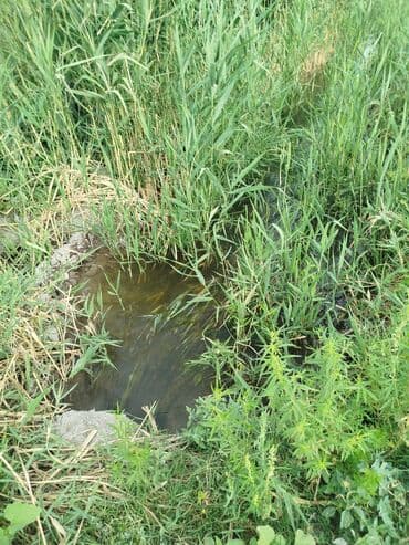 продаю дом бишкек сокулук: 500 соток, Айыл чарба үчүн, Кызыл китеп — 6