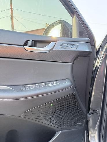 adblu: Hyundai Palisade: 2019 г., 2.2 л, Дизель, Кроссовер — 10