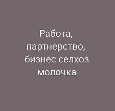 Нужен Бизнес партнер-женщина (желательно семейная) для развития at lalafo.kg Нужен Бизнес партнер-женщина (желательно семейная) для развития