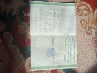 продаю дом алтын ордо новопавловка: 85 соток, Айыл чарба үчүн, Сатып алуу-сатуу келишими — 5