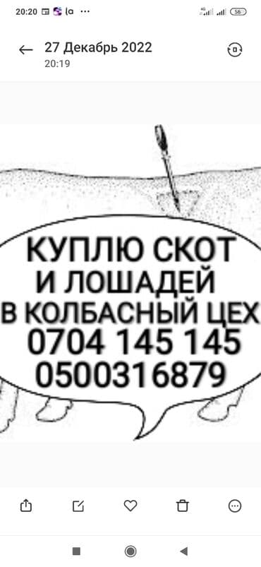 купить измельчитель травы и сена: Куплю | Коровы, быки, Лошади, кони | Круглосуточно, Любое состояние, Забитый — 1