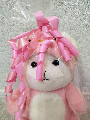 детский мир бишкек игрушки: Две мягкие игрушки за 535с — розовые зайчики 1) Большой зайчик в — 4
