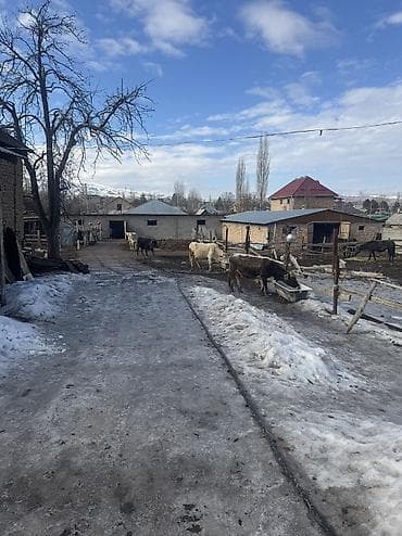 ул белорусская: 16 соток, Для бизнеса — 6