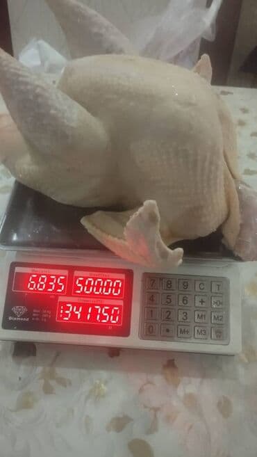 Здравствуйте продаю мясо домашний индейки 500 сом за 1 кг