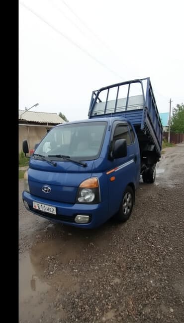 золотая шиншилла вислоухая цена: Вывоз мусора вывоз мусора вывоз мусора вывоз мусора вывоз мусора вывоз — 1