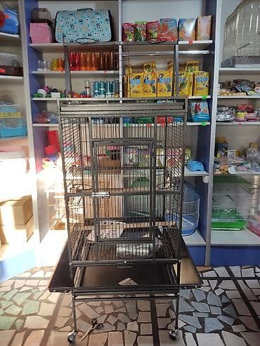 Үй жаныбарлары: Клетки для крупных, средних и мелких попугаев! — 1