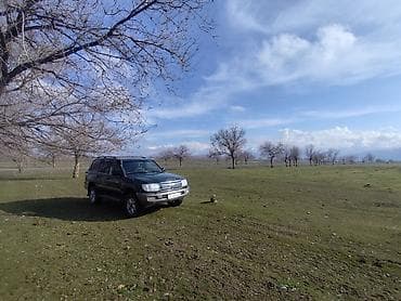 багажник срв: Toyota Land Cruiser: 2002 г., 4.5 л, Ручные, Бензин, Внедорожник — 3
