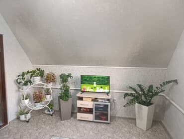 бишкек продаю дом село ак жар: Үй, 126 м², 5 бөлмө — 15