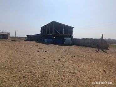 продаю дом участок село достук конечная 7 автобус: Продаю Птицеферма, 10000 соток, Электричество — 2