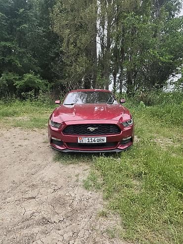 утиный хвост: Ford Mustang: 2017 г., 3.7 л, Автомат, Бензин, Купе — 3