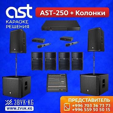 колонка для: Профессиональный комплект для караоке AST-250 + Колонки Полный набор — 1