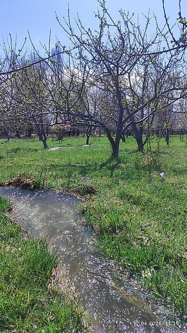 кызыл таш: 25 соток, Айыл чарба үчүн, Кызыл китеп — 4