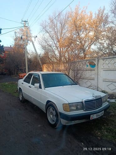 Mercedes-Benz 190: 1993 г., 2 л, Механика, Бензин, Седан