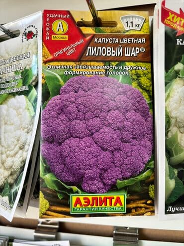 морковь семена: Семена капусты «Колобок» «Амагер 611» «Московская Поздняя 15» «Слава — 9