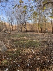 клубный дом карвен: 17 соток, Для сельского хозяйства, Красная книга — 7