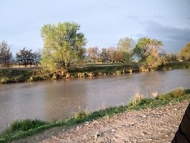 Ищу работу для исполнения мечты в кафешку, официантом at lalafo.kg Ищу работу для исполнения мечты в кафешку, официантом