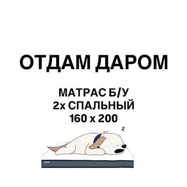 Табылгалар, бекерге берем: ОТДАМ ДАРОМ 2-спальный матрас 160х200 б/у Самовывоз район Политеха — 1