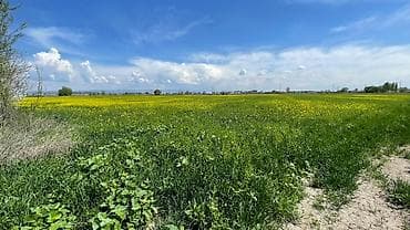 Недвижимость: 957 соток, Для бизнеса, Договор купли-продажи — 3
