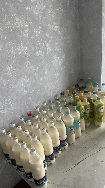 бармены: КЫМЫЗ САТЫЛАТ ТАЗА ЧАТКАЛДЫН КЫМЫЗЫ ДААМЫ ОТО СОНУН БААСЫ 300с — 3