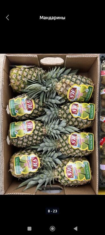 семена тюльпана: Мандарины Оптом — 5